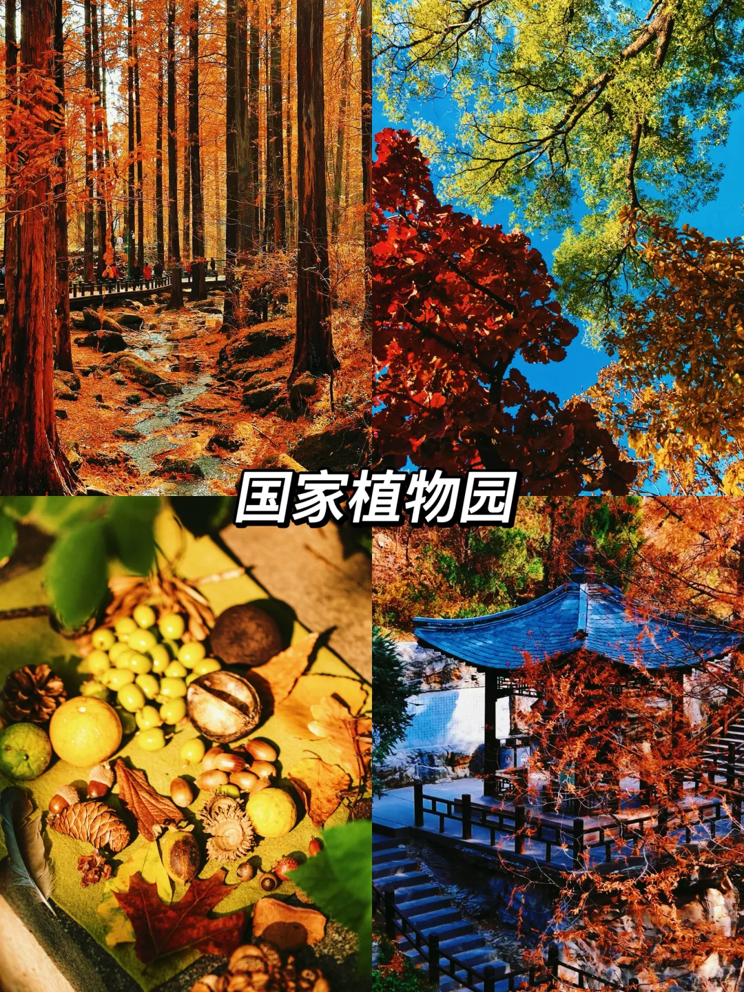 北京秋天一定要去的8️⃣个地方！