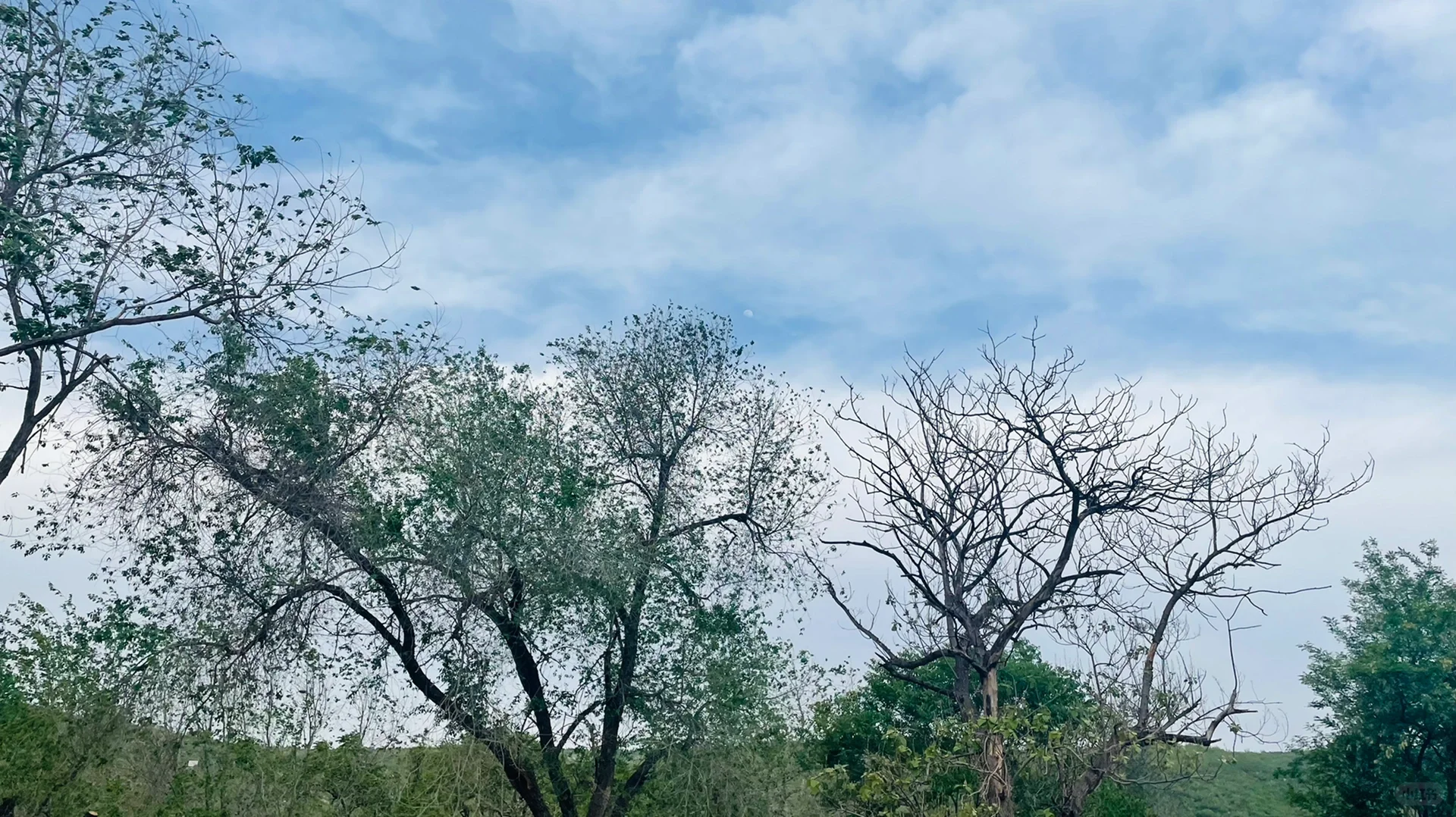 家门口的景点