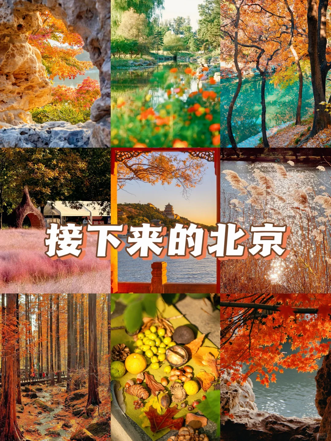 北京秋天一定要去的8️⃣个地方！