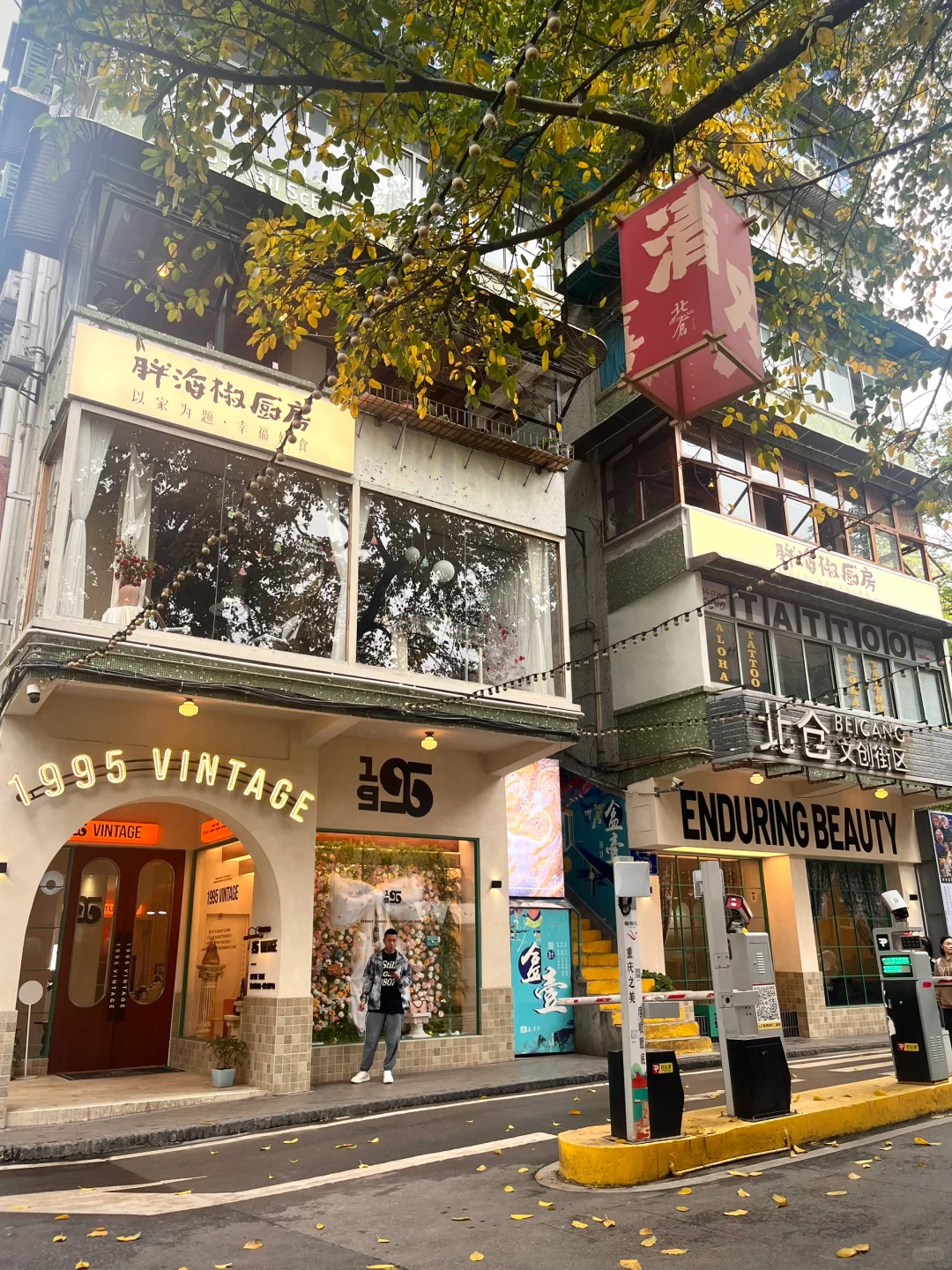 重庆值得去的景点📷