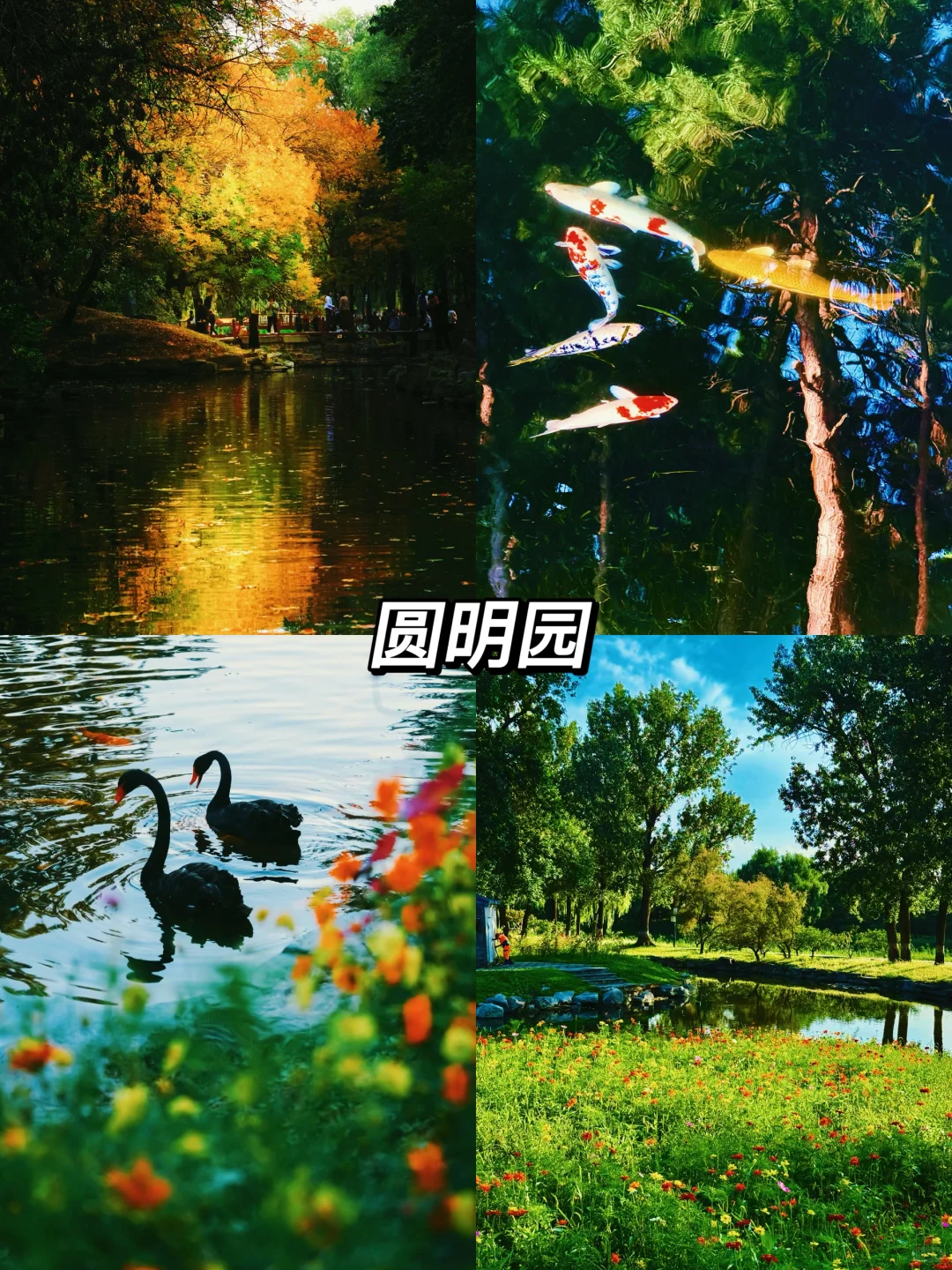 北京秋天一定要去的8️⃣个地方！