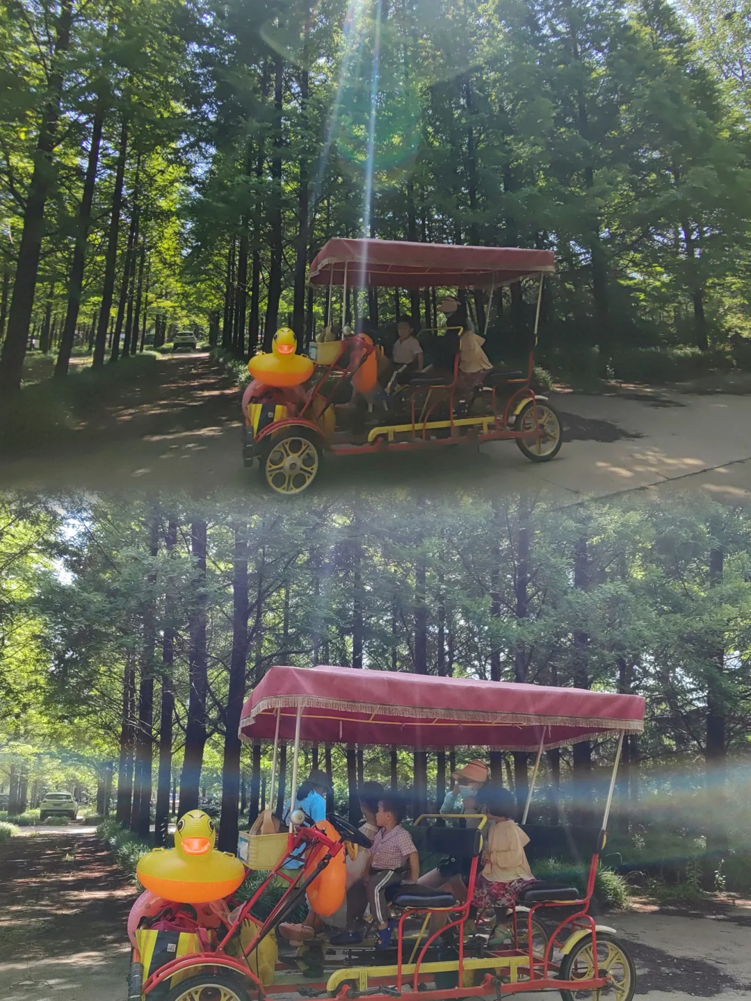 不接受反驳，国家森林公园是日照景点顶流！