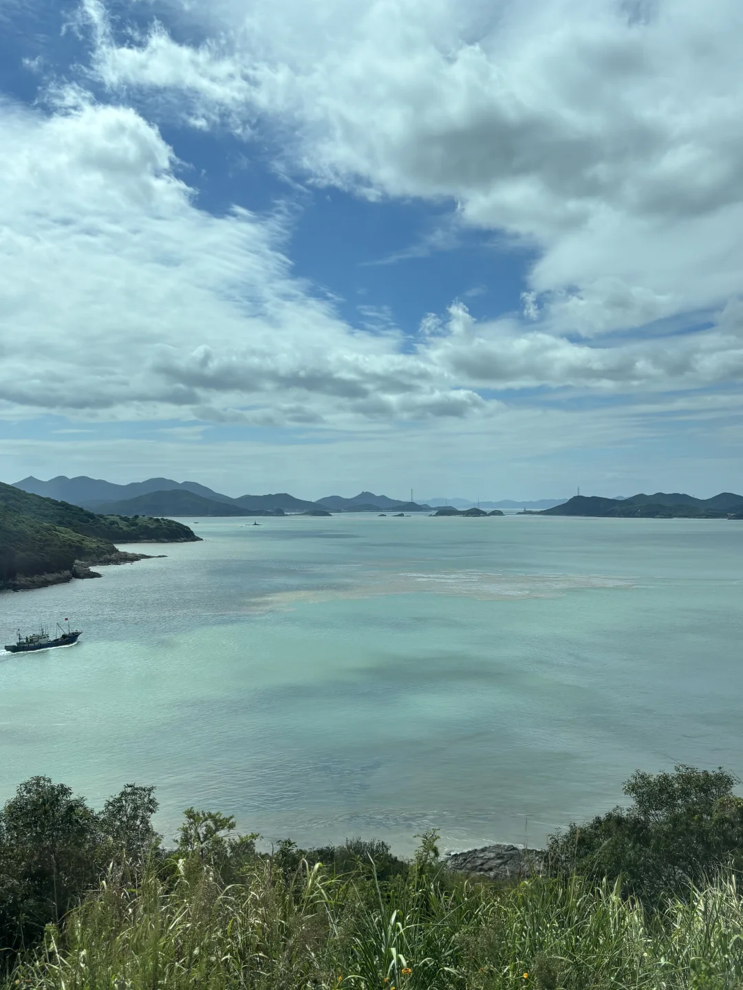 济州岛代餐