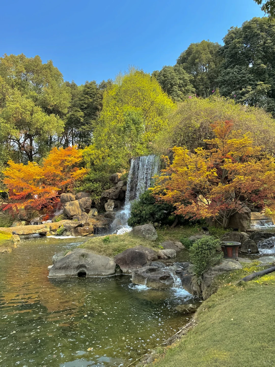 果然成都最好的地方都是免费的。。。。。（合集）