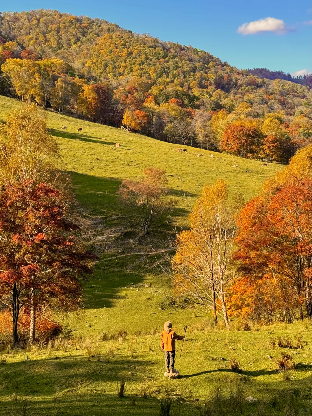 以为内蒙秋天已经够美了,直到我来了这里…