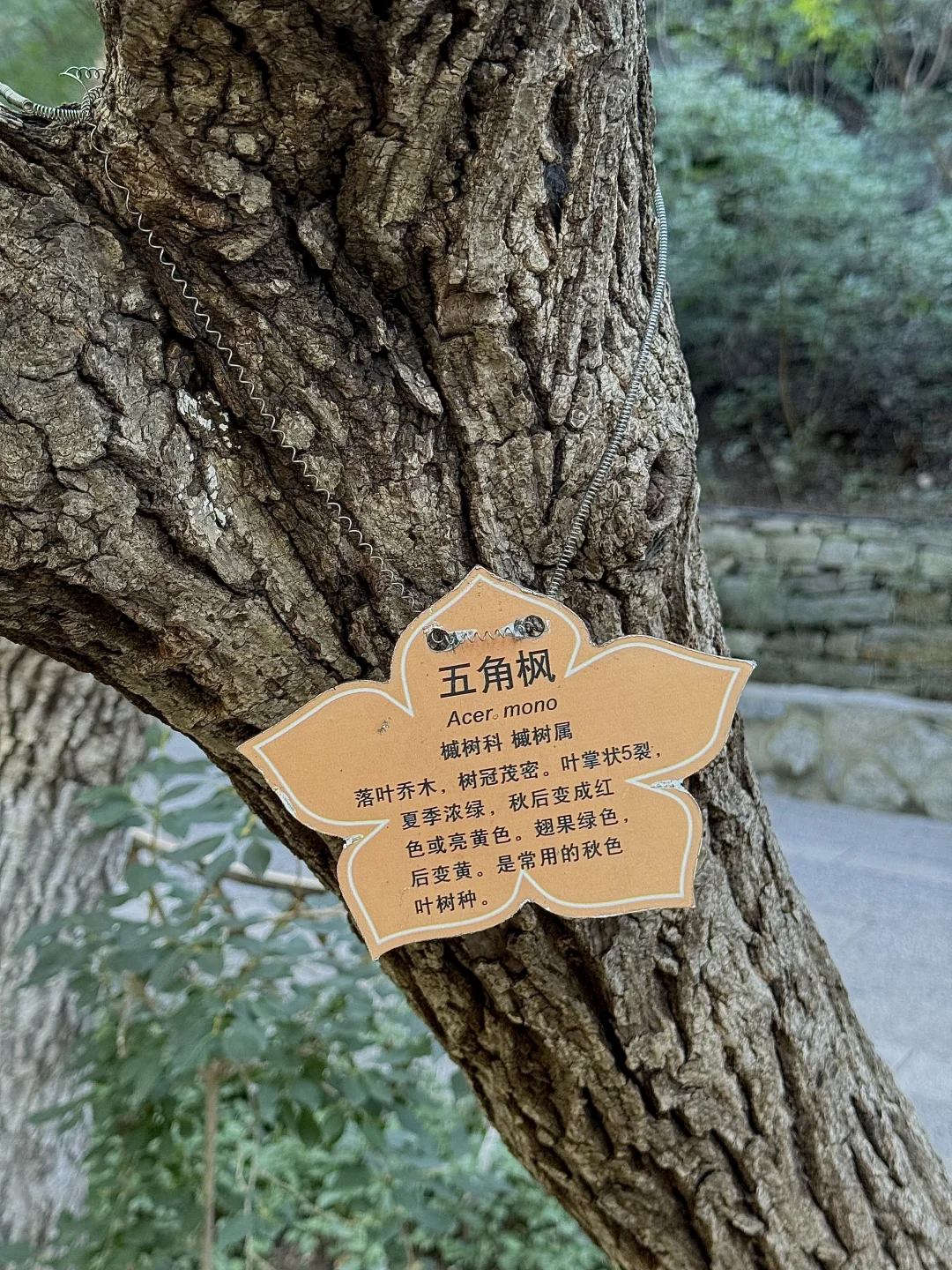 周末逃离计划｜济南佛慧山