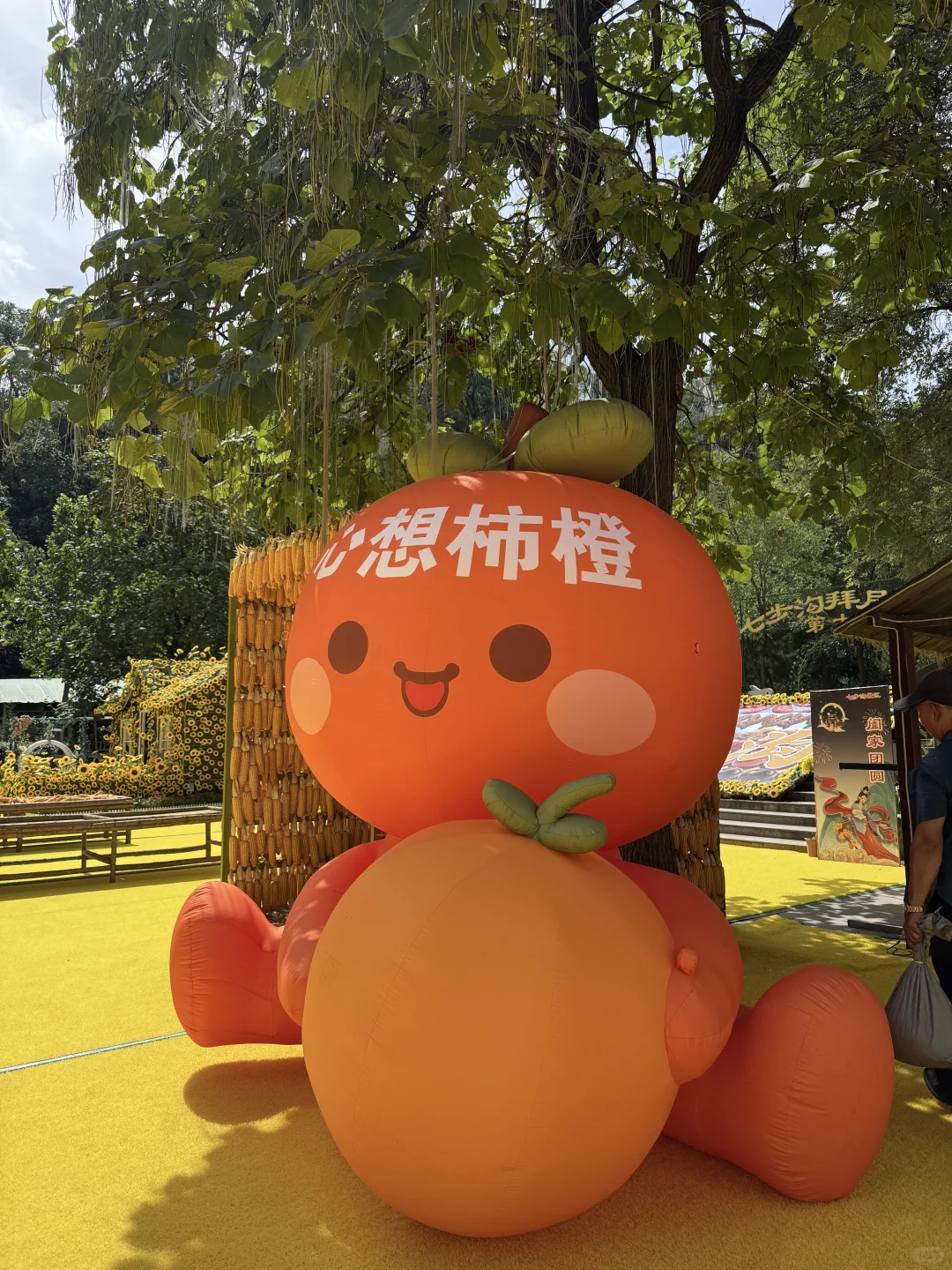 注意‼️19号起来七步沟要提前预约！