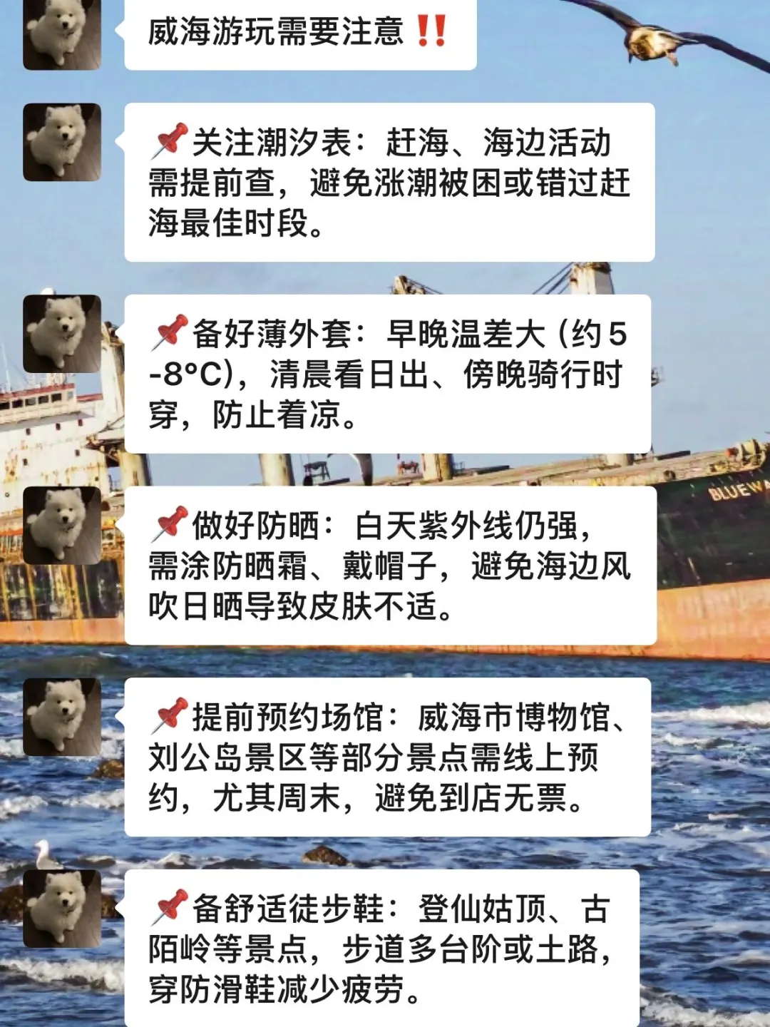 去威海前，听点不一样的大实话（满级J人）