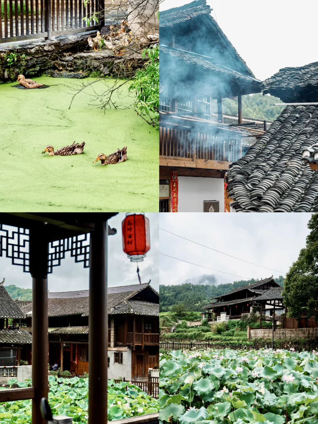 如果你知道湖南这座冷门小城，那很local了
