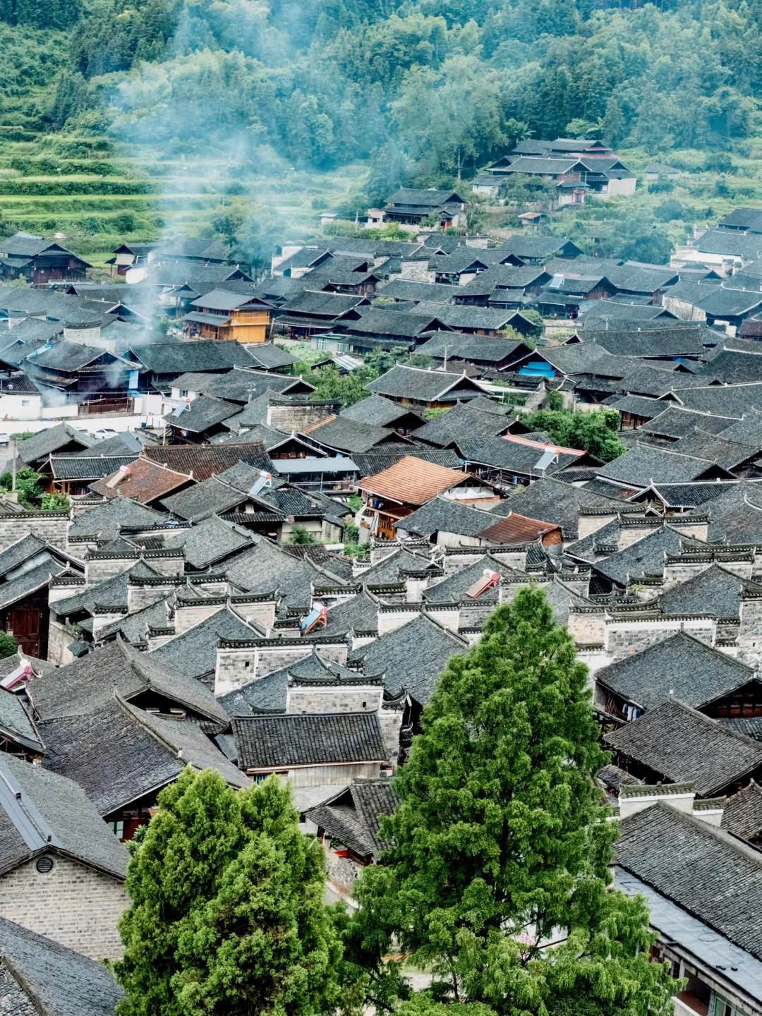 如果你知道湖南这座冷门小城,那很local了