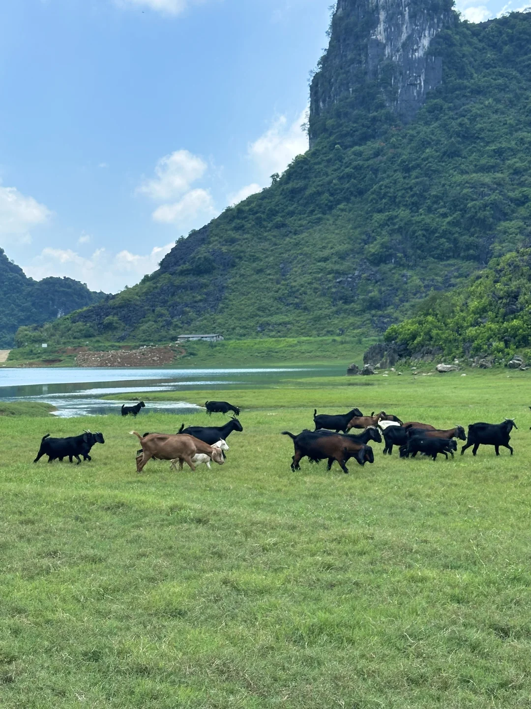 没去新疆，我在广西！柳州出发1h小众路线
