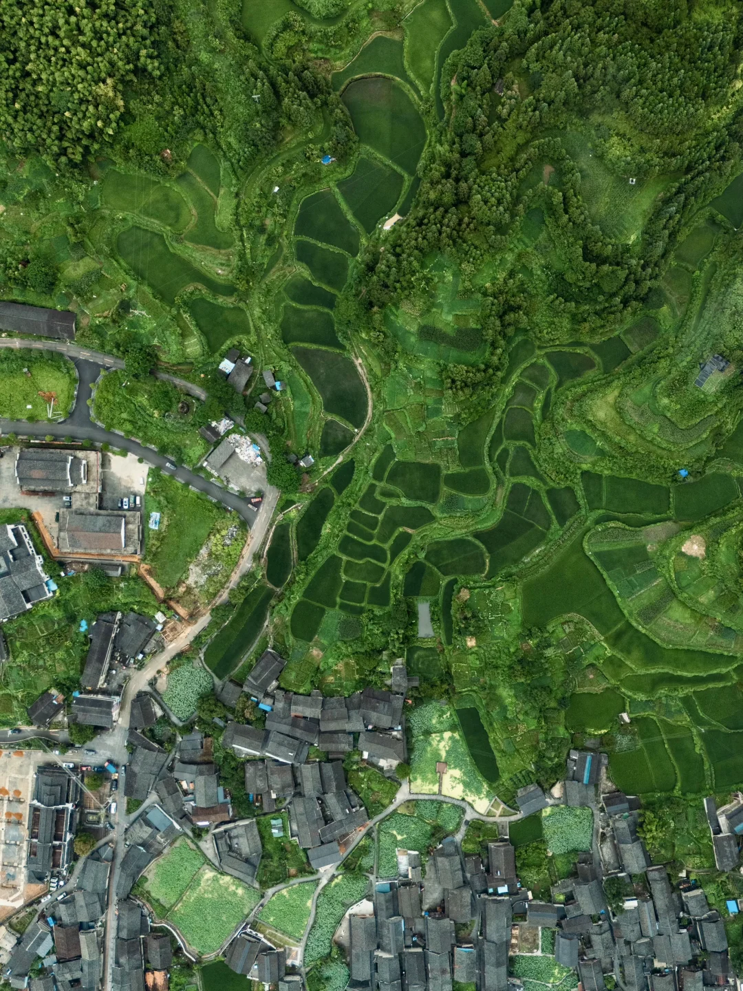 如果你知道湖南这座冷门小城,那很local了