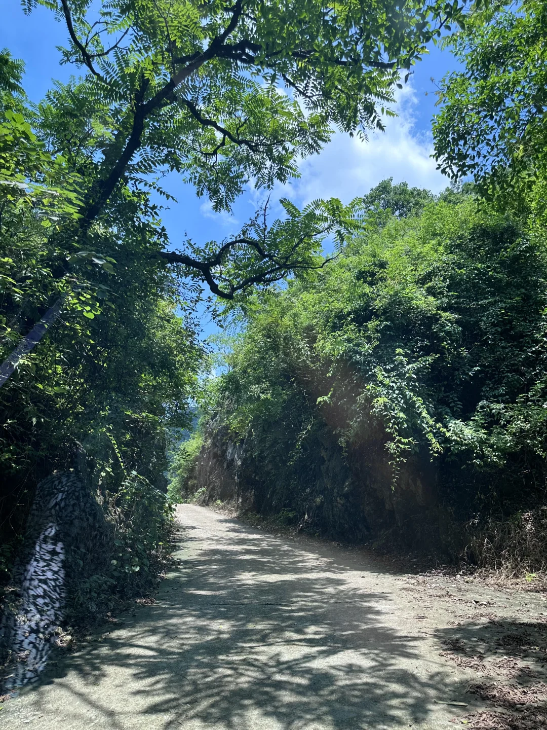 没去新疆，我在广西！柳州出发1h小众路线