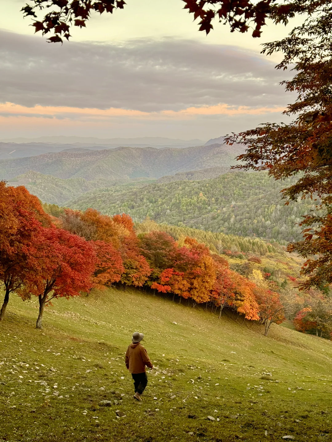 以为内蒙秋天已经够美了,直到我来了这里…