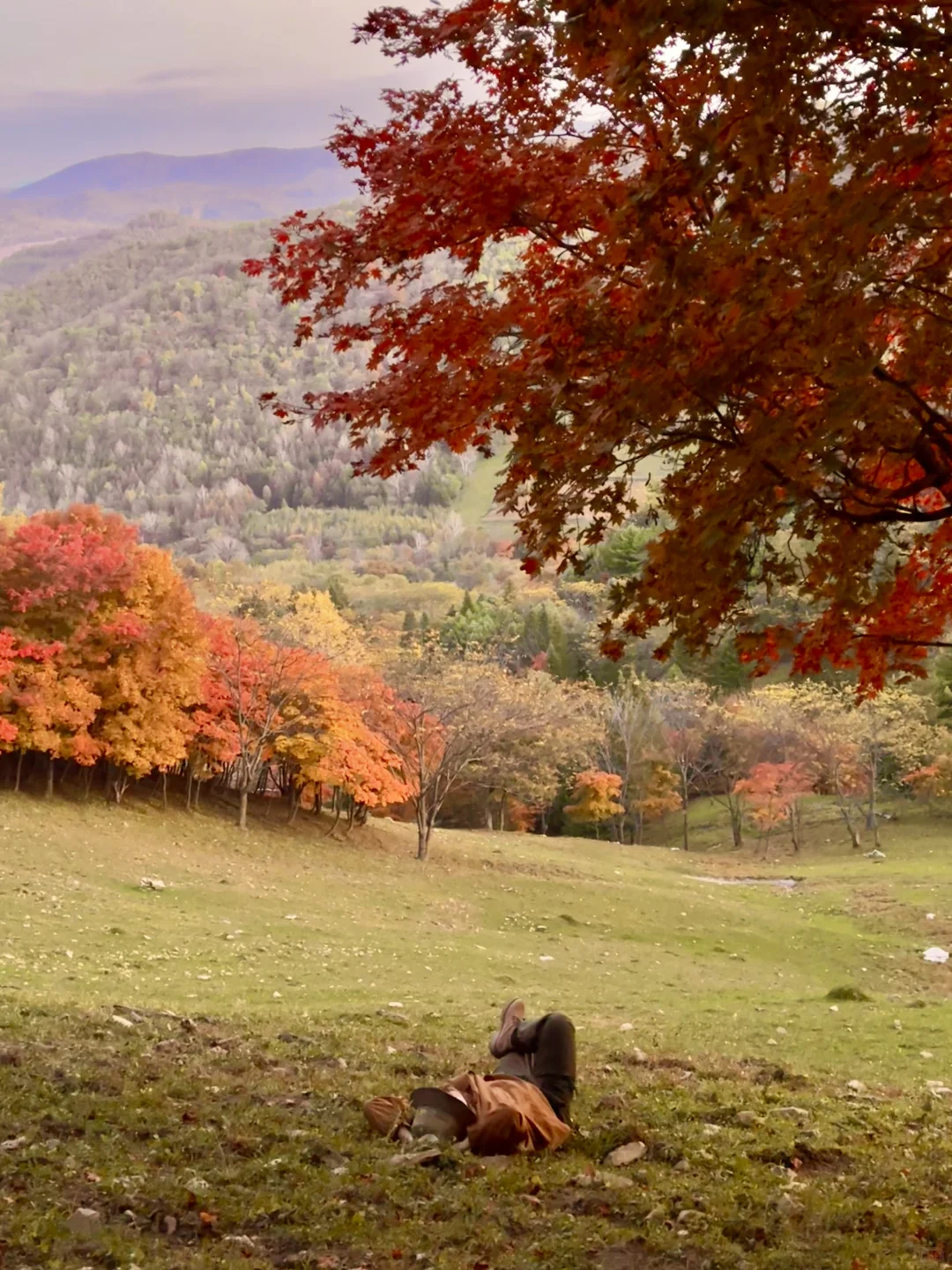 以为内蒙秋天已经够美了,直到我来了这里…