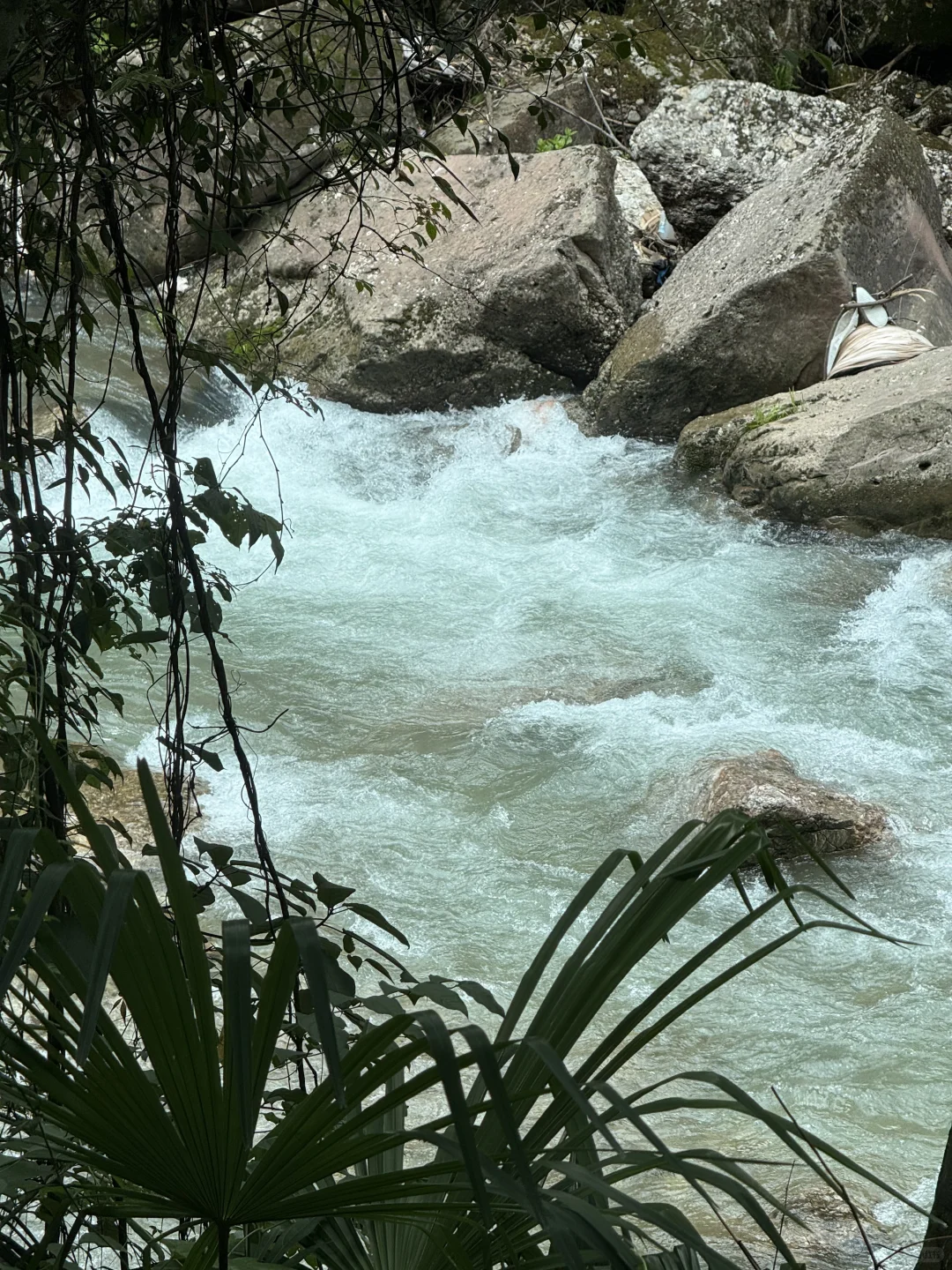 7.27日青城山后山一日游，已老实🥹