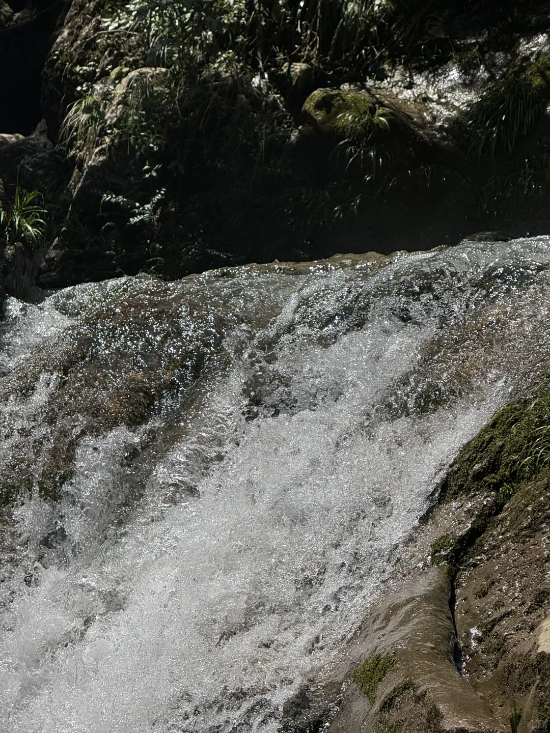 7.27日青城山后山一日游，已老实🥹