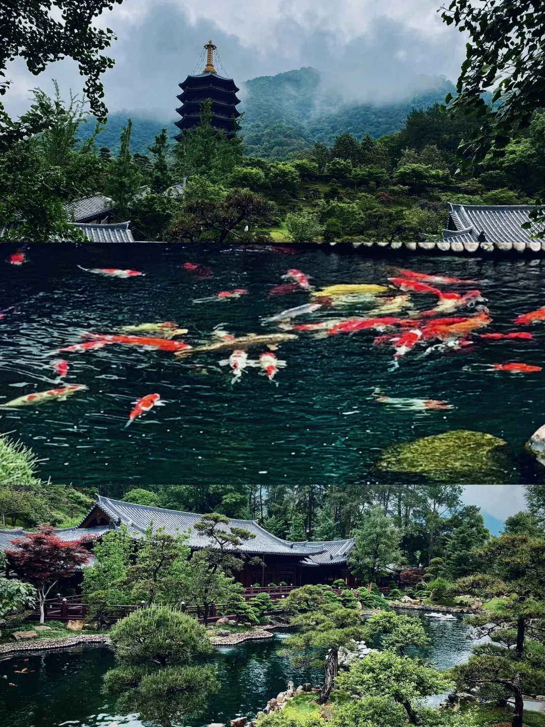 玩疯了❗️韶关云门山两日游攻略❗️