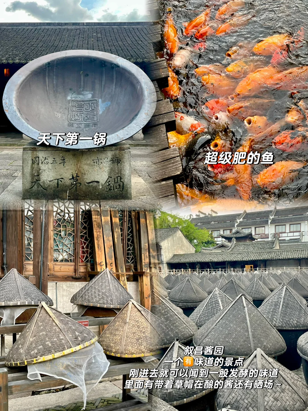 人均💰600｜乌镇两天一晚详细攻略！附明细！