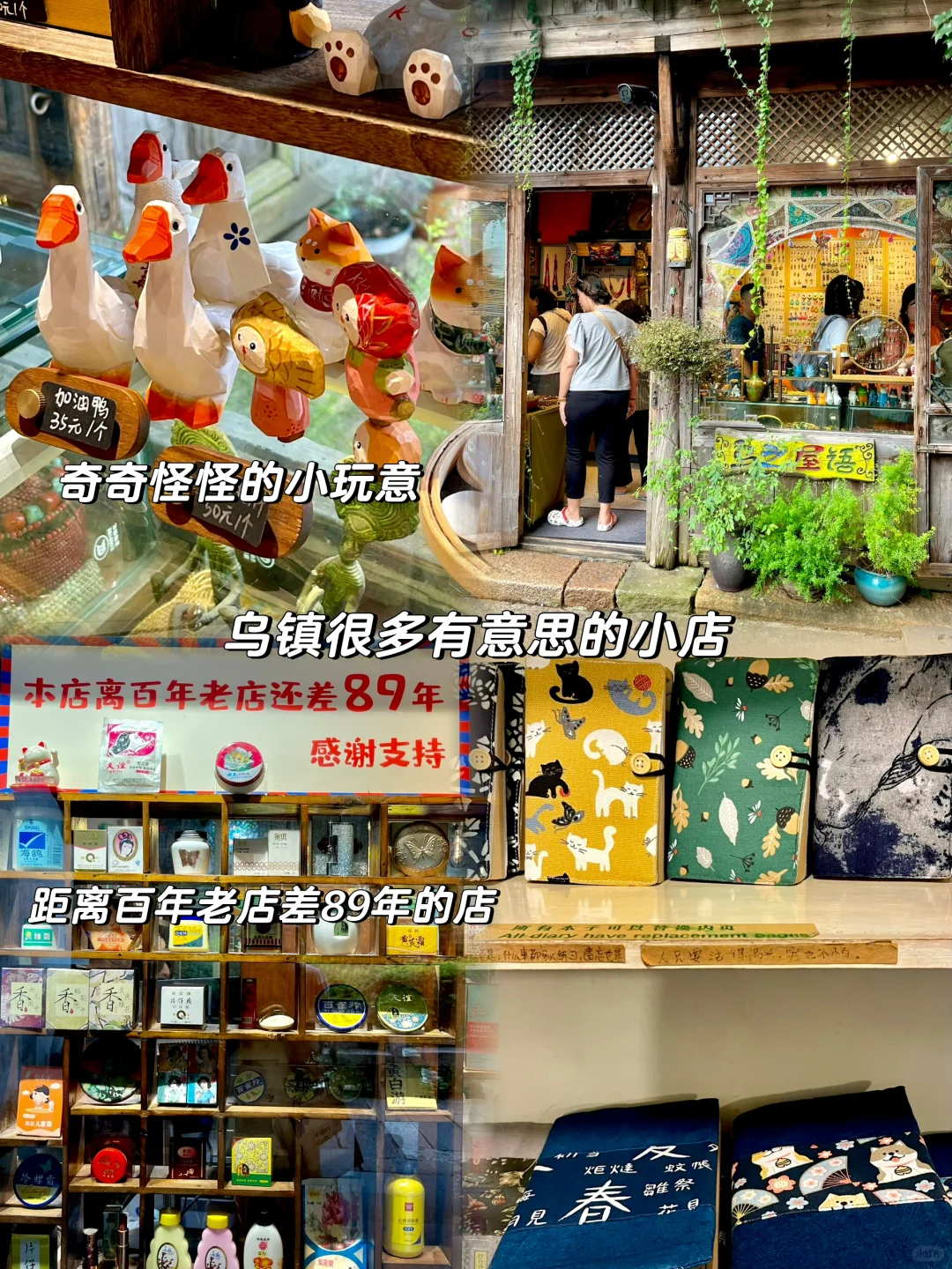 人均💰600｜乌镇两天一晚详细攻略！附明细！