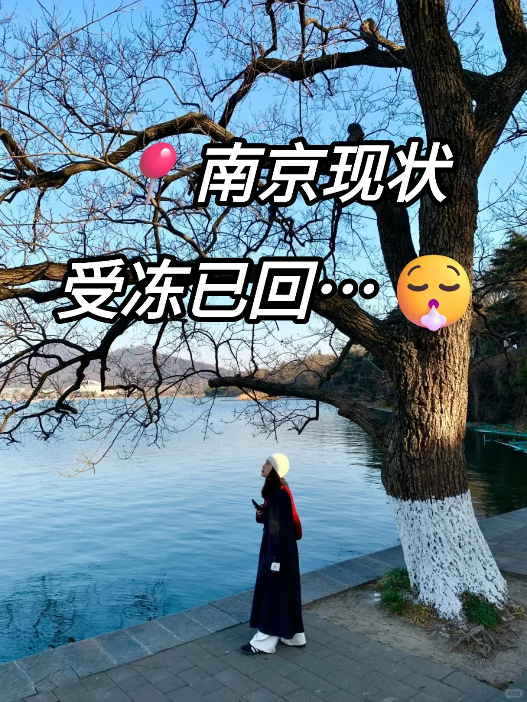 南京受冻已回，劝退国庆去南京的家人…