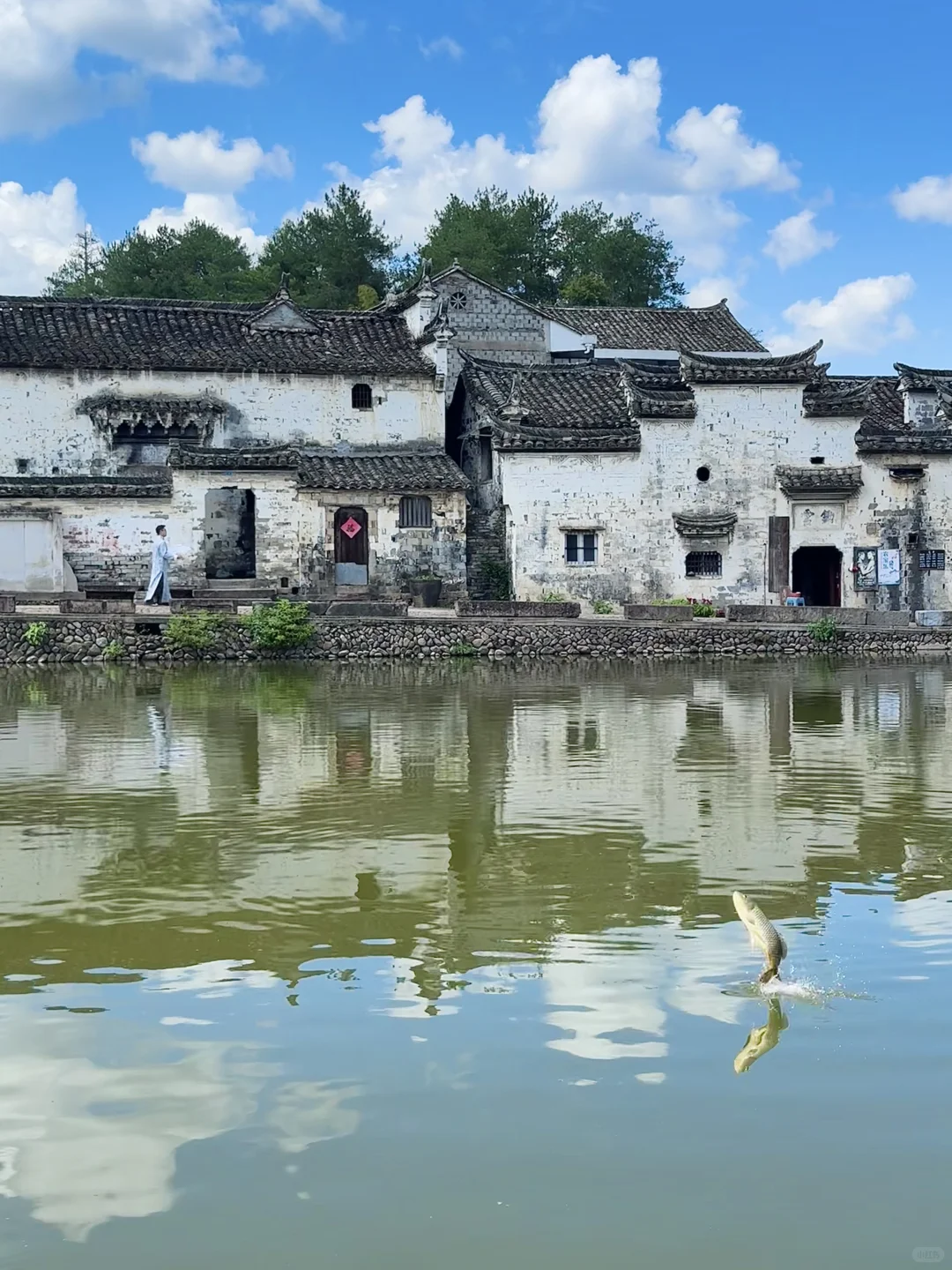 live｜一个冷门可以隐居的江南小城‼️