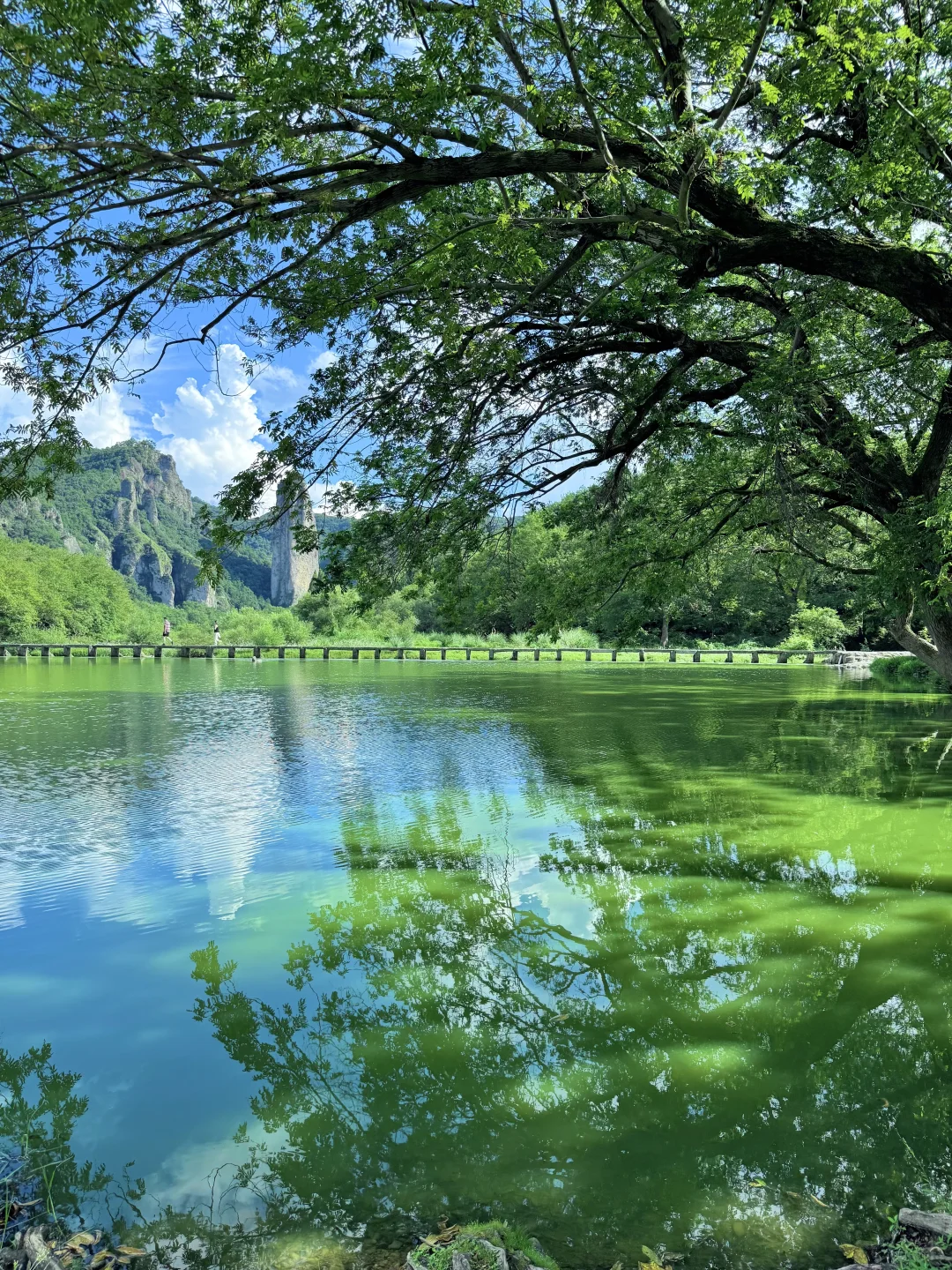 live｜一个冷门可以隐居的江南小城‼️