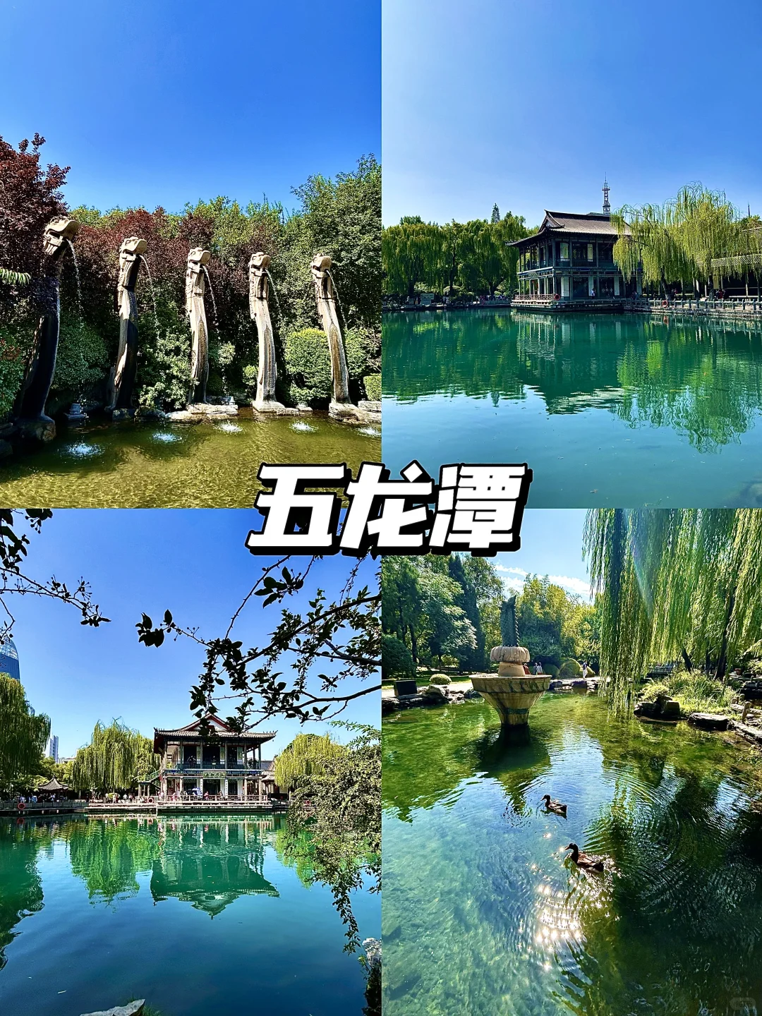 国庆千万不要来济南！（附避坑游玩攻略）