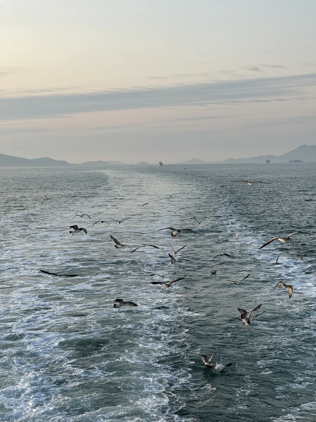 国庆烟台旅游攻略,如何避开人海!