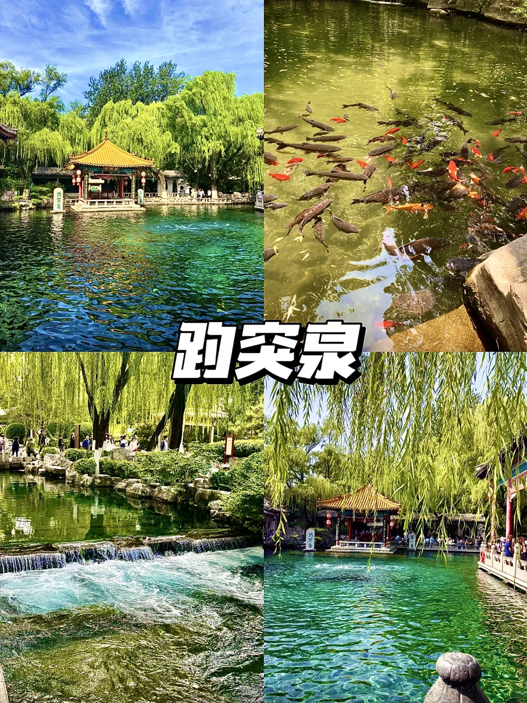 国庆千万不要来济南！（附避坑游玩攻略）