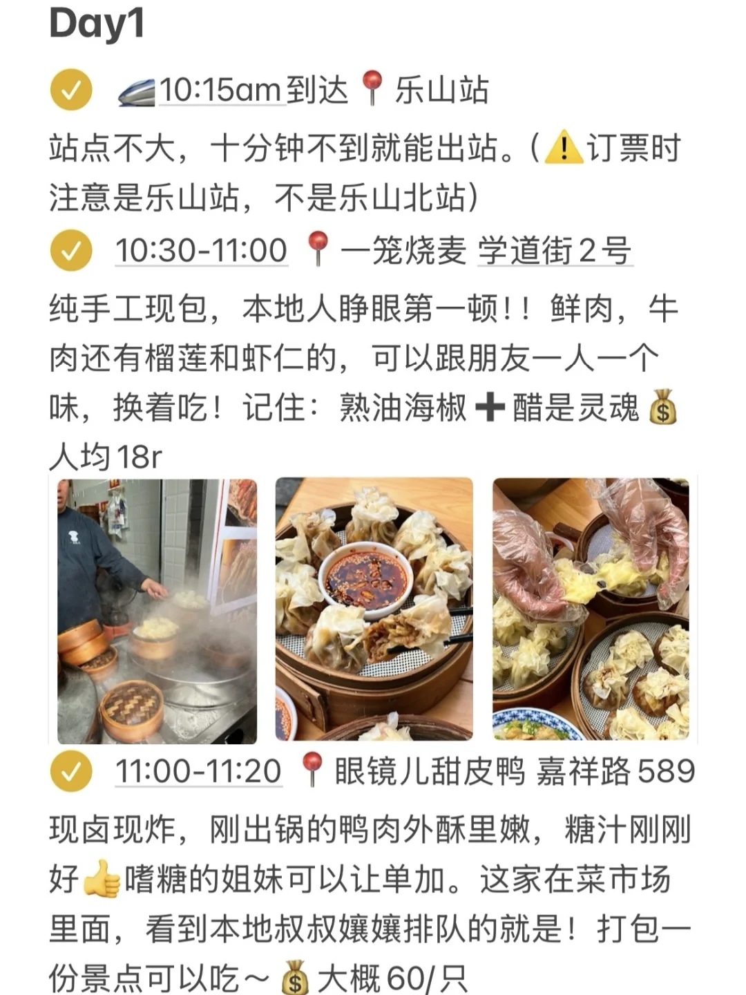 国庆去乐山，对自己做的攻略满意得睡不着！！