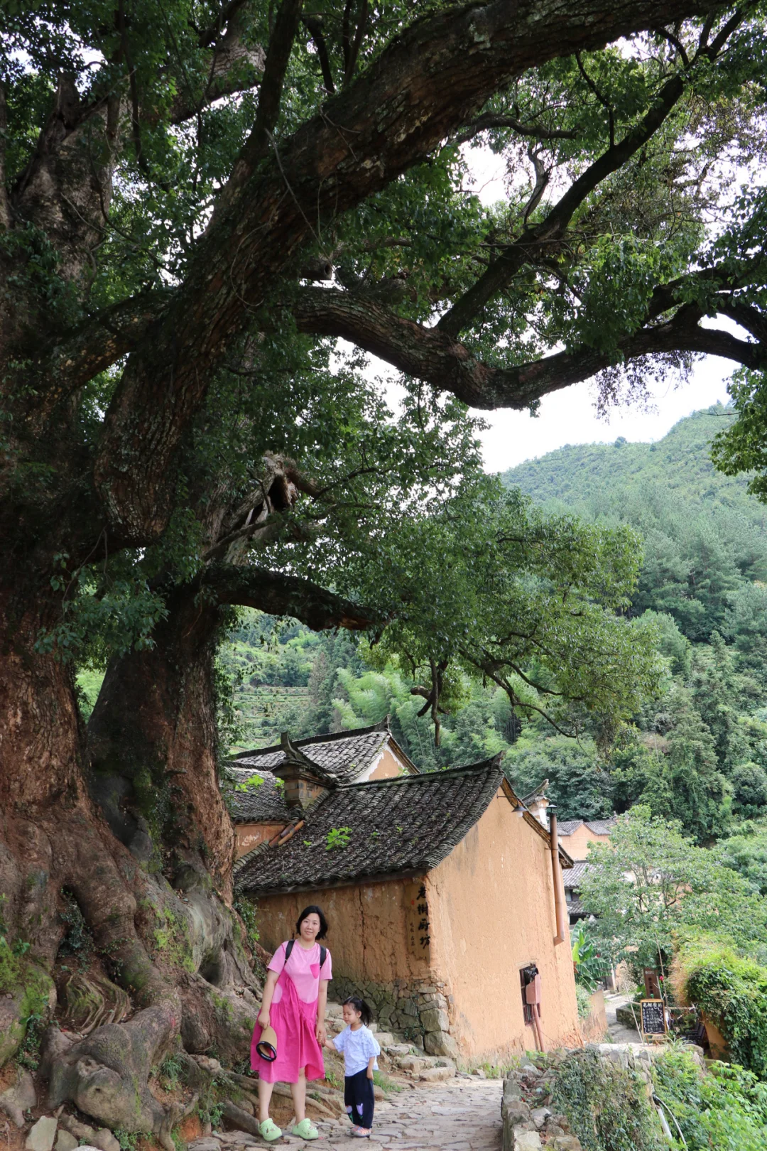 国庆避开人流🍃推荐几个江浙沪周边游目的地