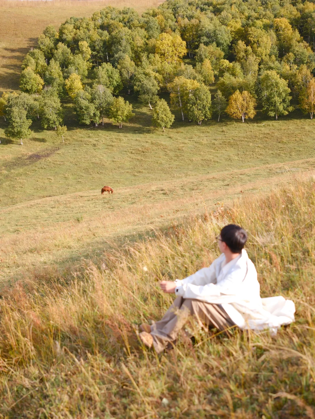 9.24实况‼️河北的秋景已经美成Next Level