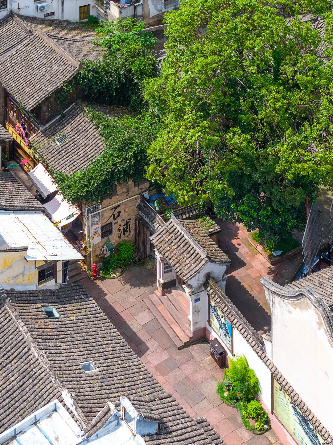 国庆反向游🎉推荐一个绝对冷门的海边小城