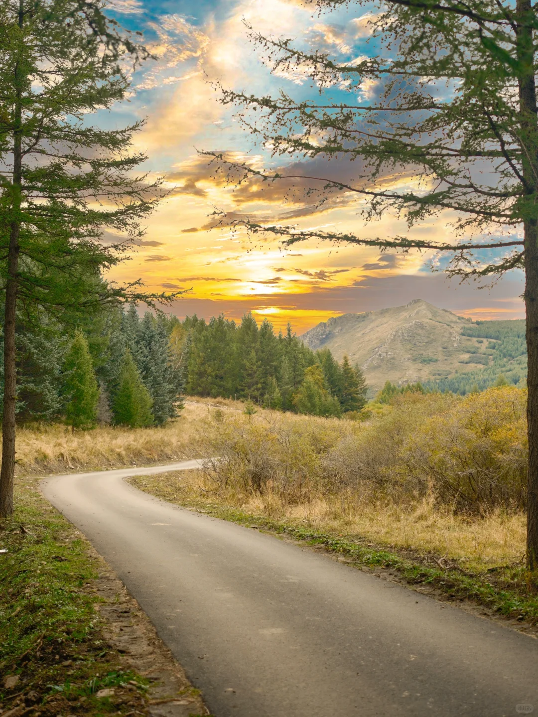 9.24实况‼️河北的秋景已经美成Next Level