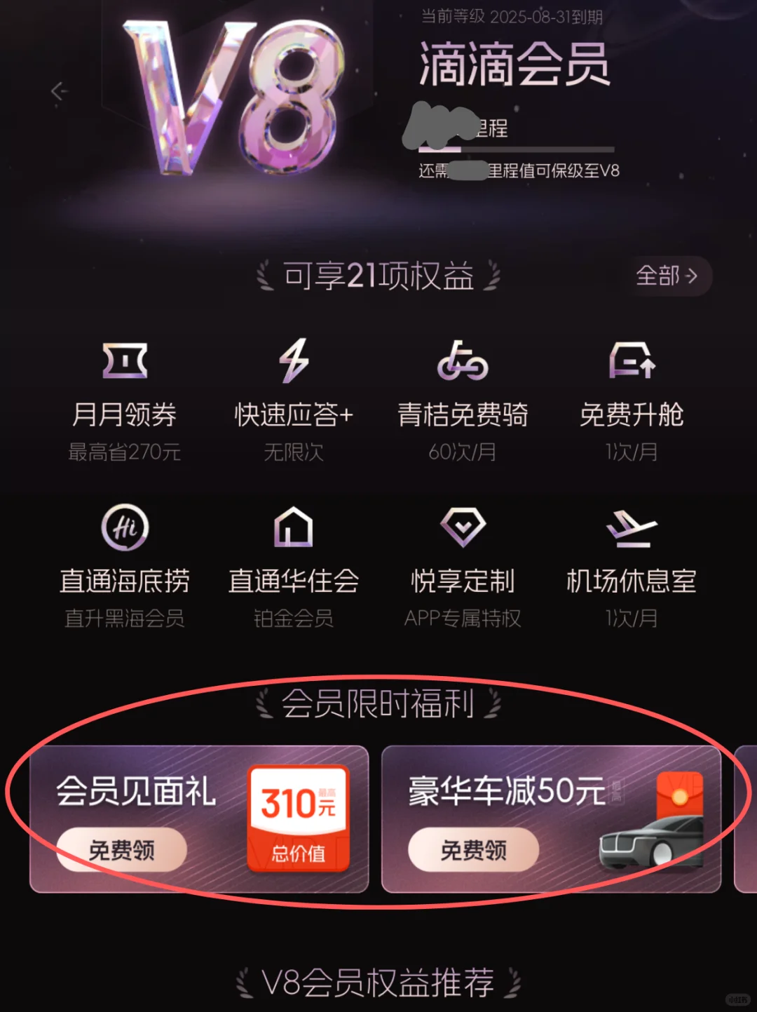 谁懂🥹真的被自己做的青岛攻略满意得睡不着