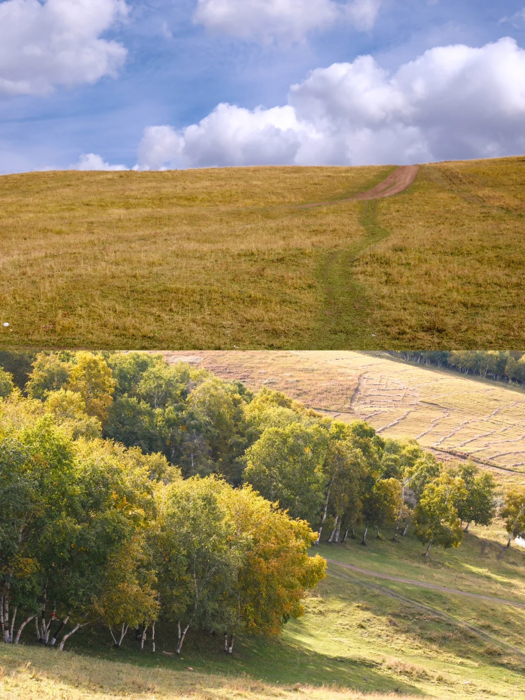 9.24实况‼️河北的秋景已经美成Next Level