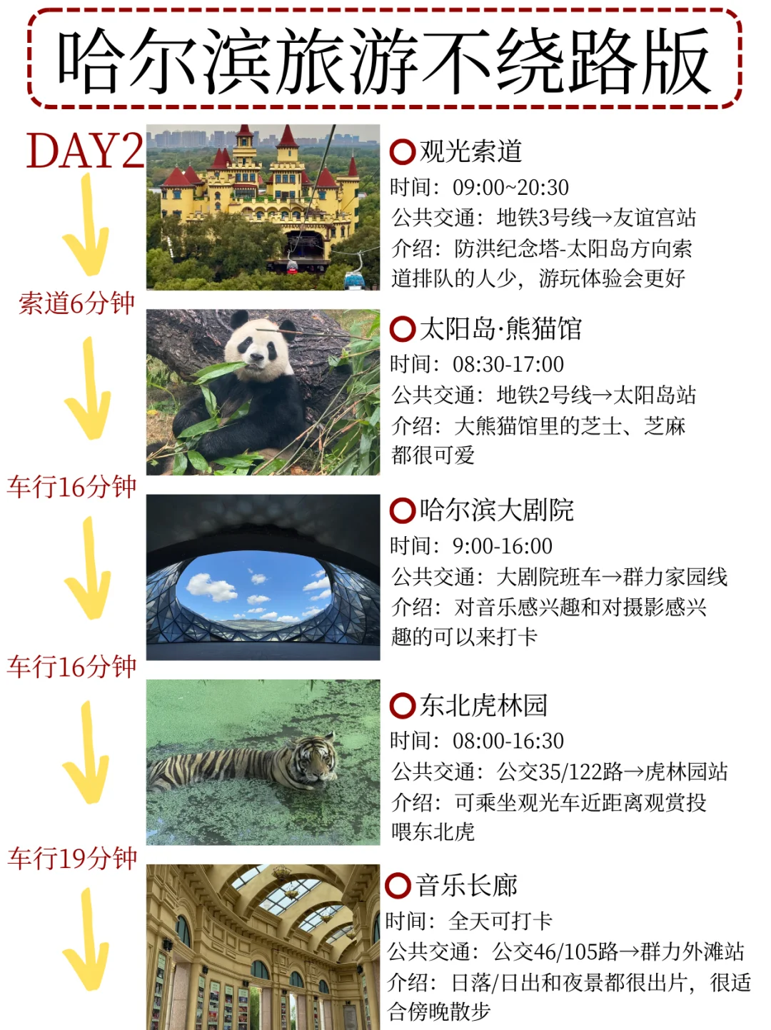 本J人对自己手写的哈尔滨攻略满意的睡不着