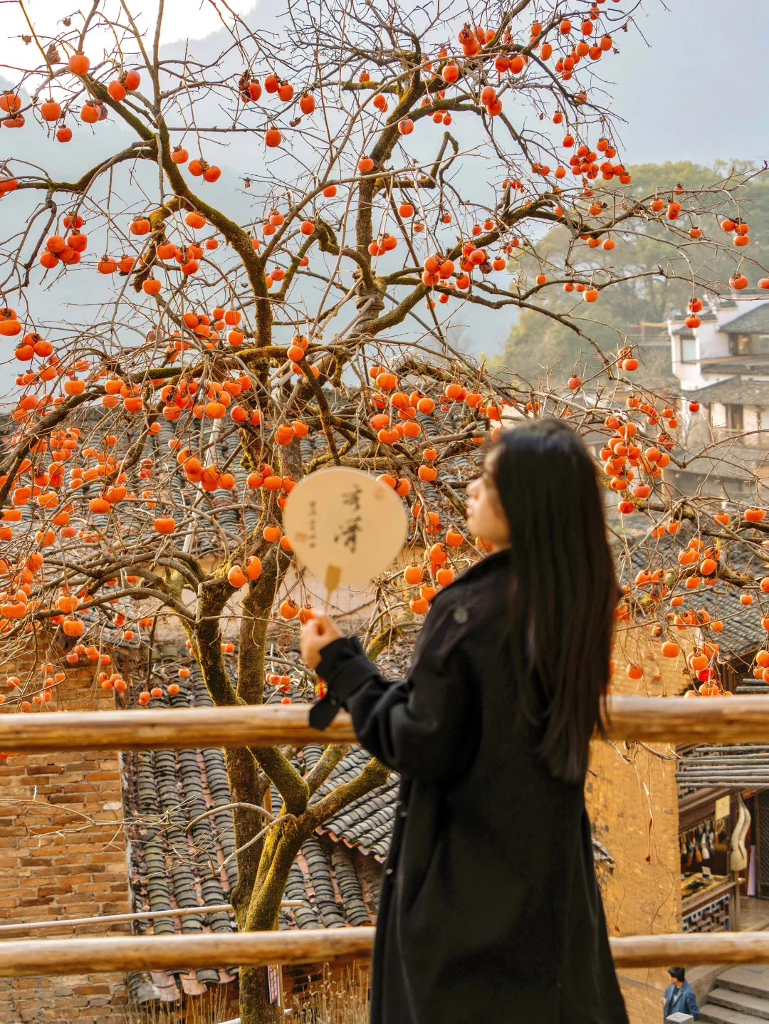 接下来的篁岭，堪称国内旅游天花板‼️