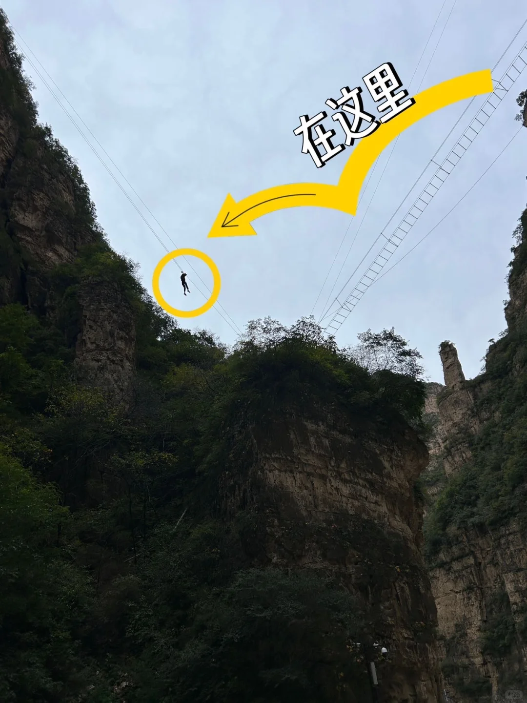 景区太会整活了！各种表演加免费送～
