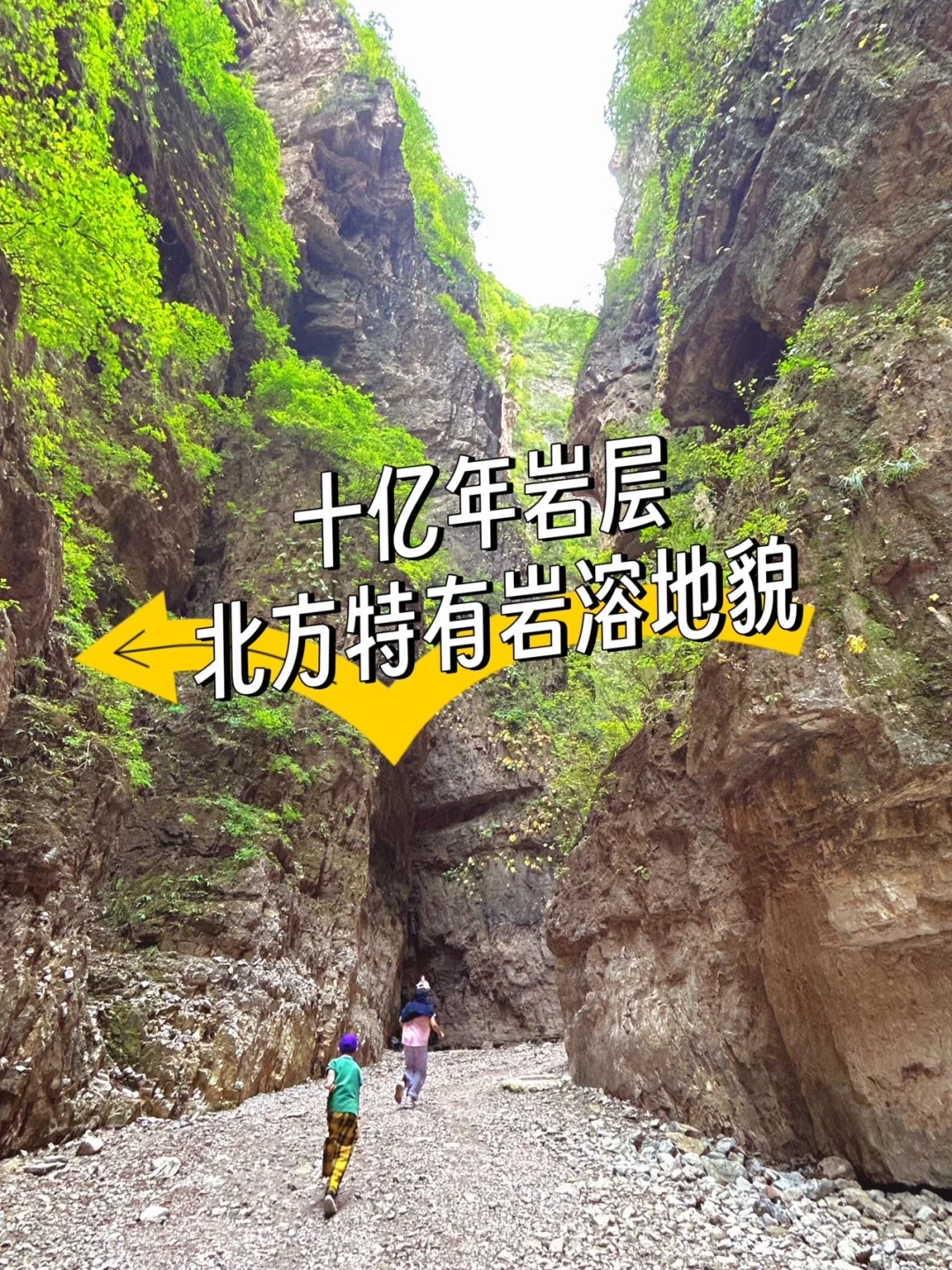 景区太会整活了！各种表演加免费送～