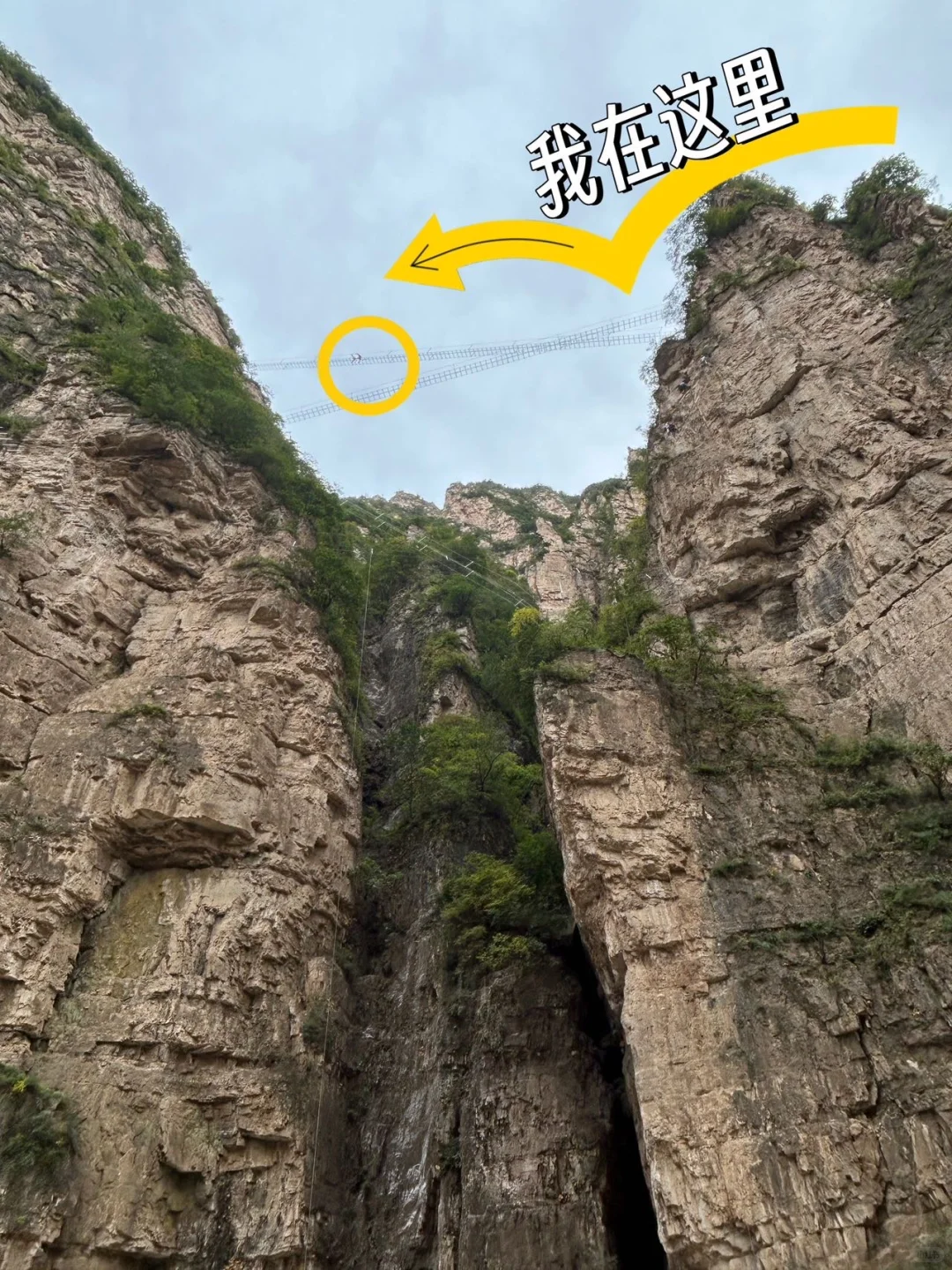 景区太会整活了！各种表演加免费送～