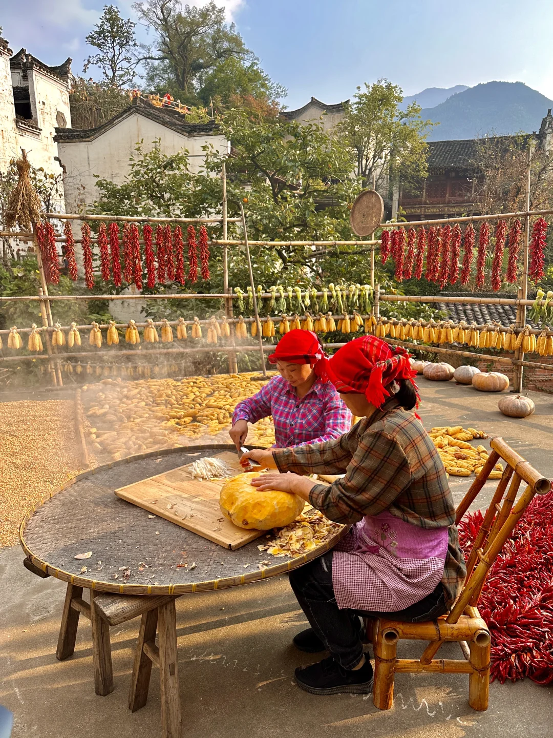 接下来的篁岭，堪称国内旅游天花板‼️