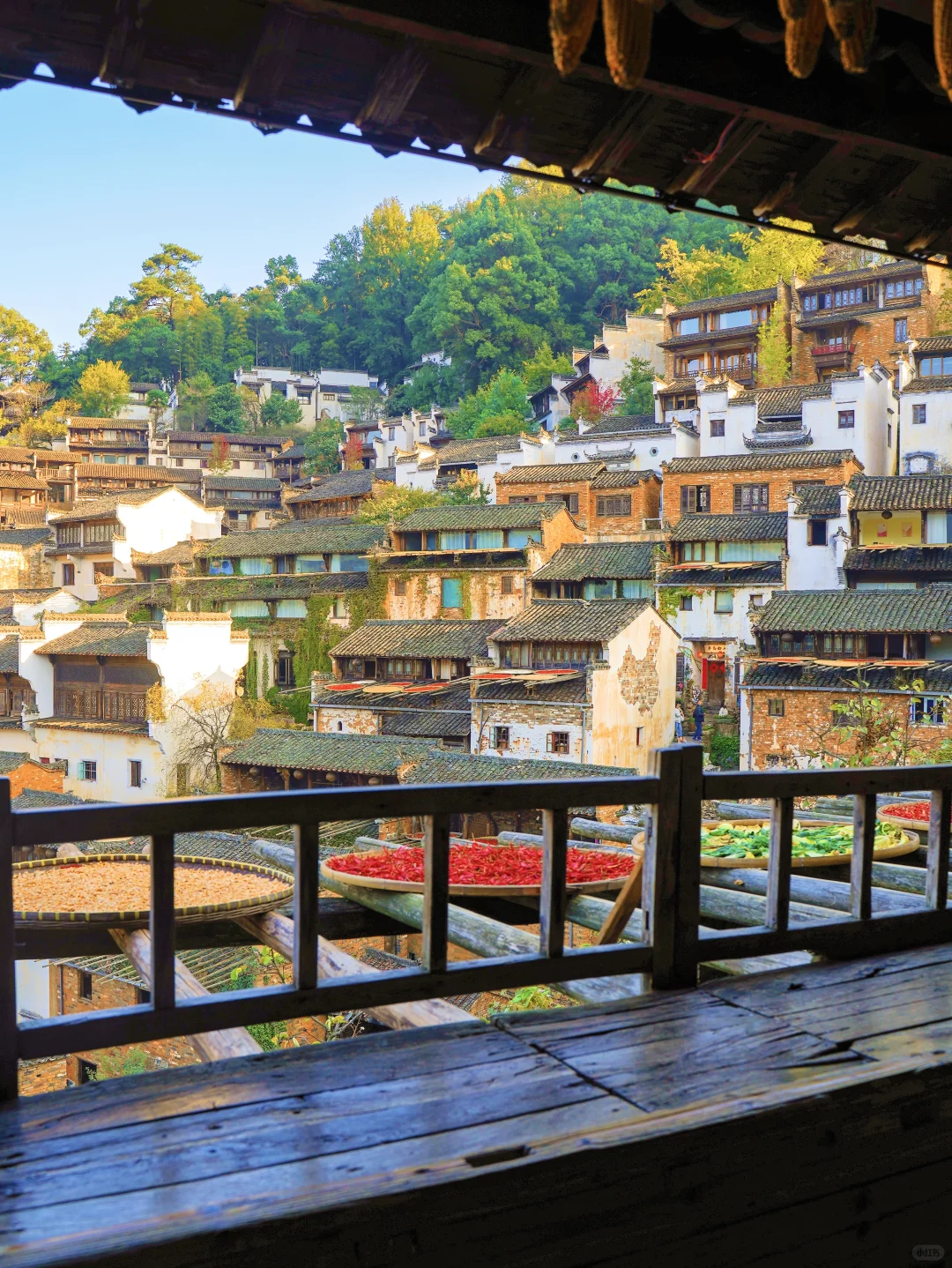 接下来的篁岭，堪称国内旅游天花板‼️