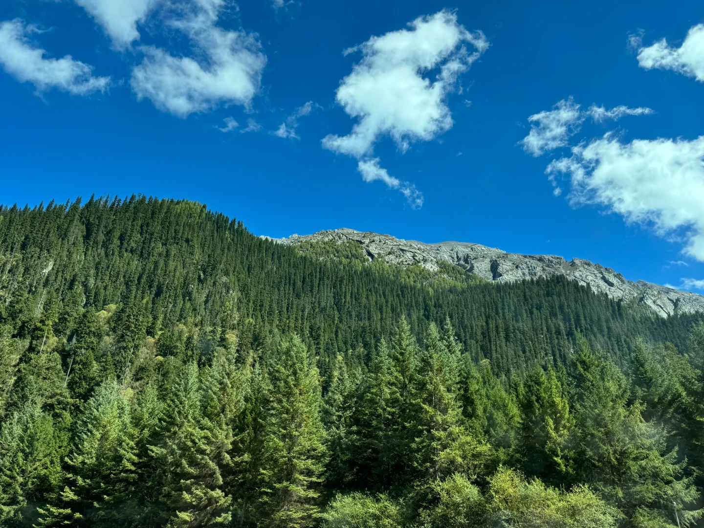 九寨沟第一天,讲真,根本不用过度追求攻略