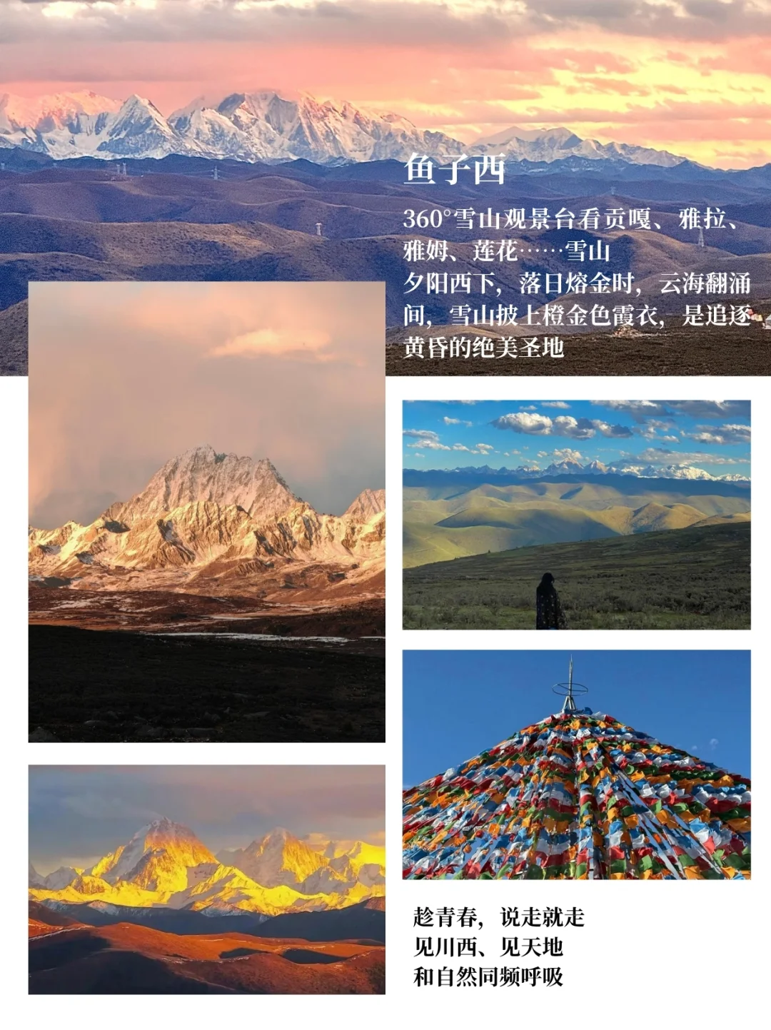 稻城亚丁四姑娘山纯玩5天，1k+解锁川西旅行