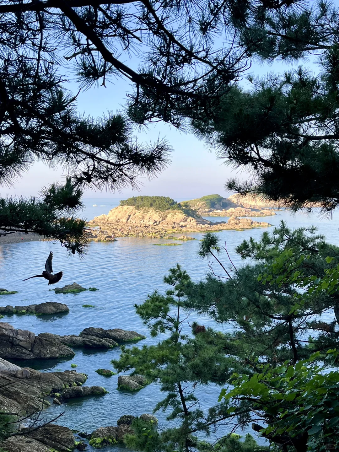 关于威海旅行，本地人想说点大实话