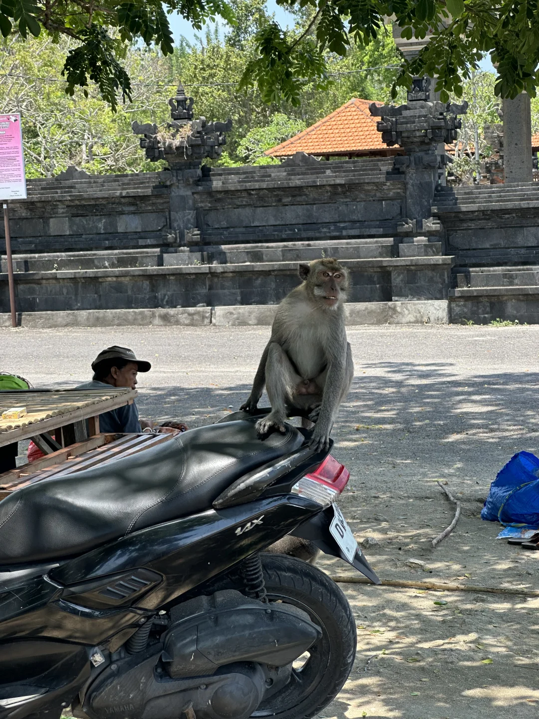 人多到国外旅游也得找小众景点了