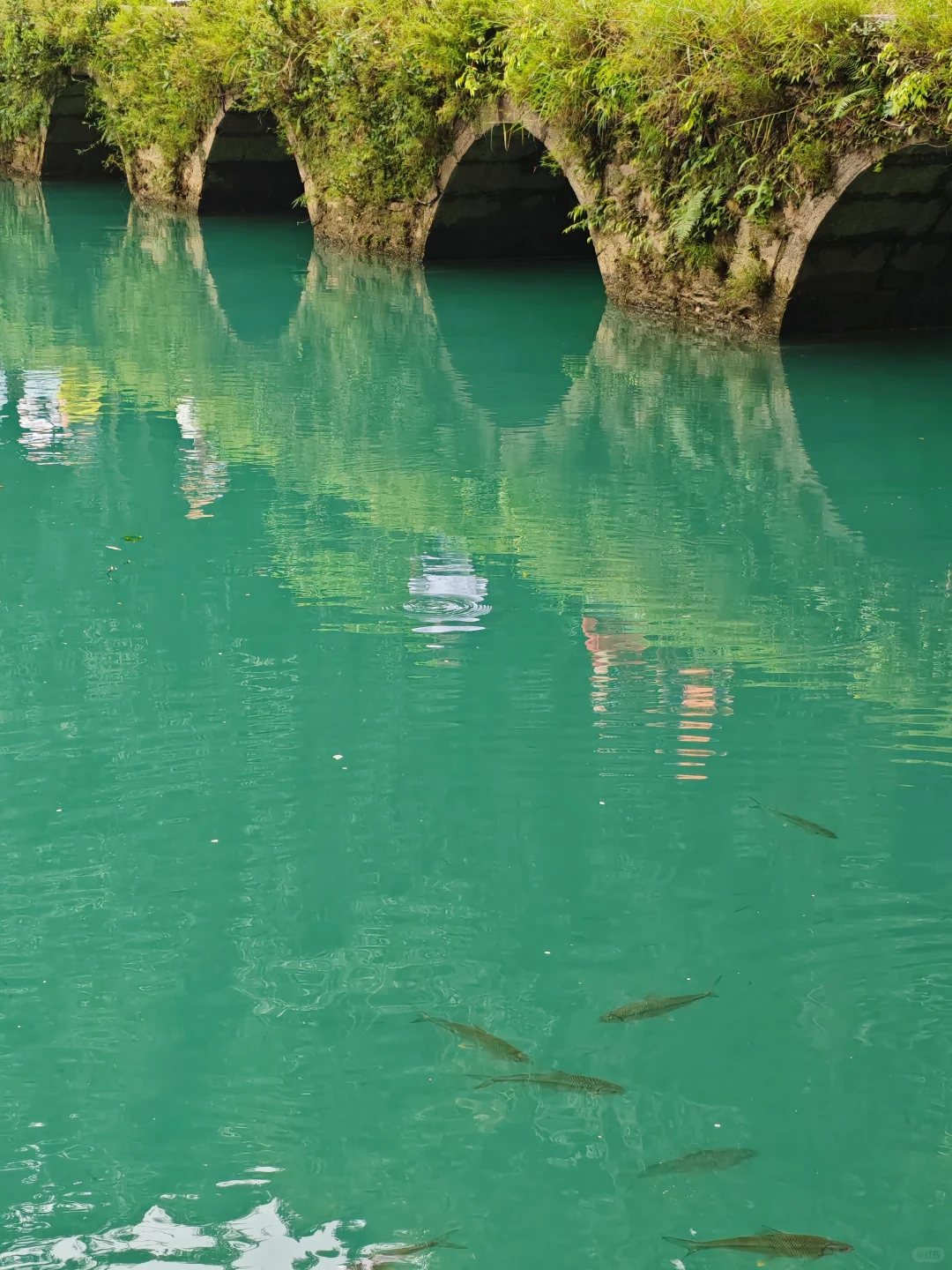 贵州荔波小七孔都是谁在去啊?