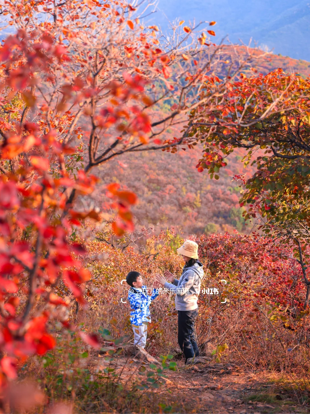 接下来北京不能错过的!亲子登山赏秋合集🍁
